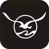 Free play online Seagull Camera App APK