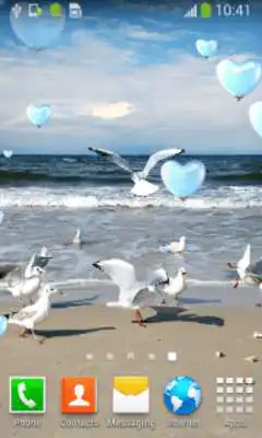 Play Seagull Live Wallpapers