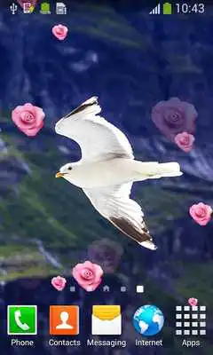 Play Seagull Live Wallpapers