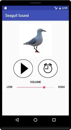 Play Seagull Sound  and enjoy Seagull Sound with UptoPlay