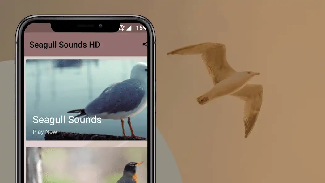 Play Seagulls Sounds as an online game Seagulls Sounds with UptoPlay