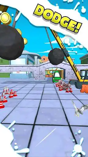Play Seagull Swipe  and enjoy Seagull Swipe with UptoPlay
