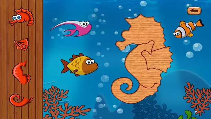 Play Sea Kid  Toddler Puzzle Game