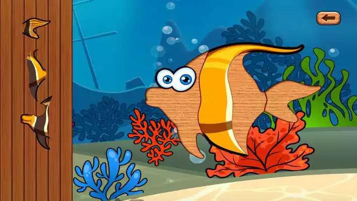 Play Sea Kid  Toddler Puzzle Game