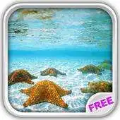 Free play online Sea Life Water Touch APK