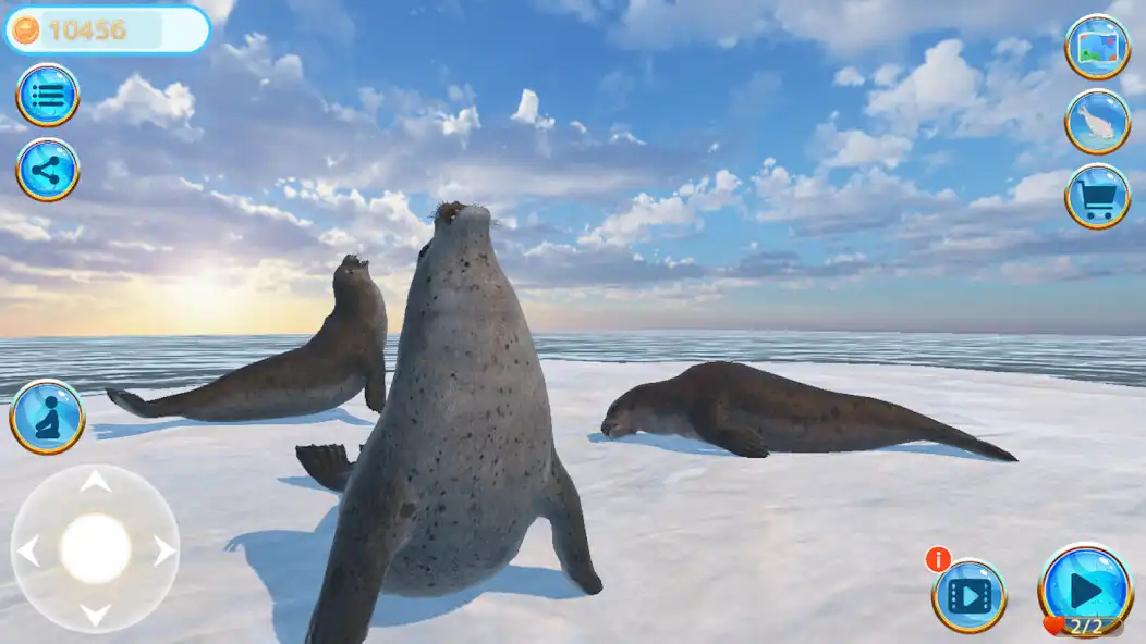 Play Seal Island  and enjoy Seal Island with UptoPlay