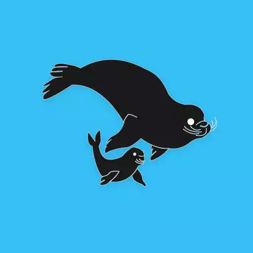 Play Sealplay Schools APK Play Sealplay Schools APK