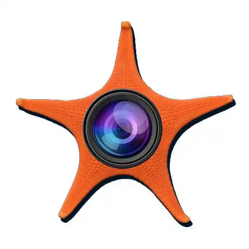 Free play online SeaPhoto APK