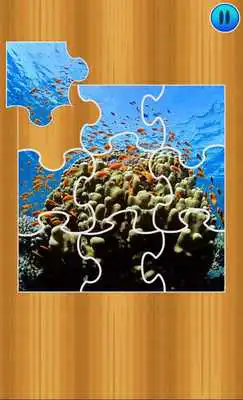 Play Sea Puzzles