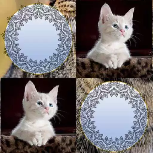 Play Search and Pair Match - Images APK Play Search and Pair Match - Images APK
