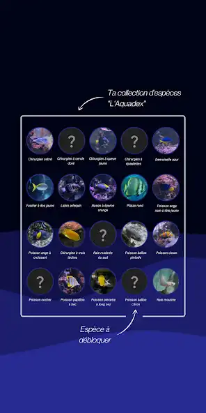 Play Sea Scan by Sea Life as an online game Sea Scan by Sea Life with UptoPlay