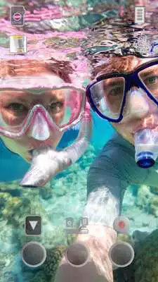 Play Seashell Lite