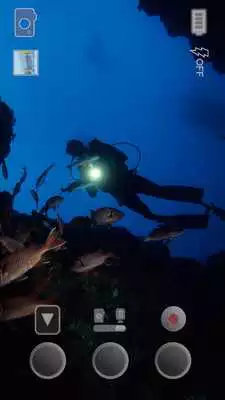 Play Seashell Lite