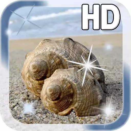 Free play online Sea Shell Live Wallpaper APK Free play online Sea Shell Live Wallpaper APK