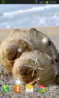 Play Sea Shell Live Wallpaper