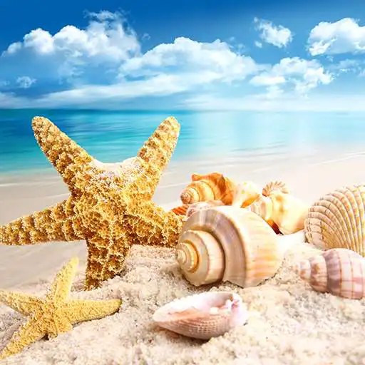 Free play online Seashells Live Wallpapers APK