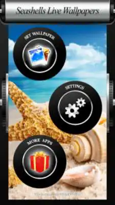 Play Seashells Live Wallpapers