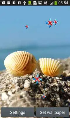 Play Seashells Live Wallpapers