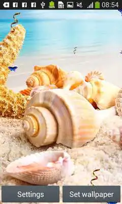Play Seashells Live Wallpapers