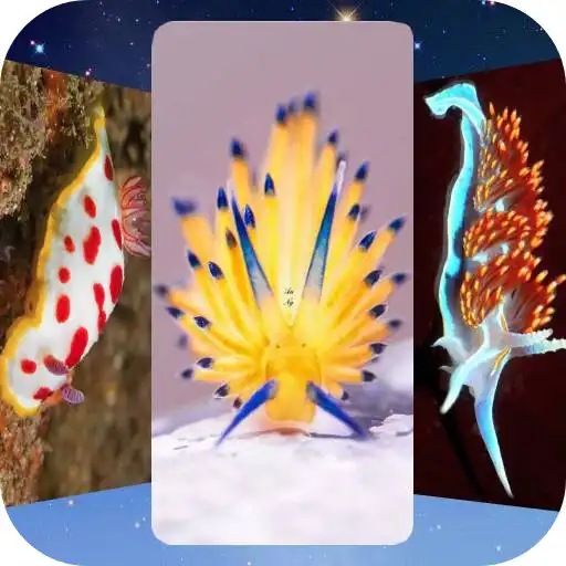 Play Sea Slug Wallpapers APK Play Sea Slug Wallpapers APK