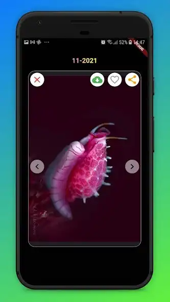 Play Sea Slug Wallpapers as an online game Sea Slug Wallpapers with UptoPlay