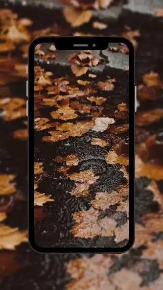 Play Season Aesthetic Wallpaper  and enjoy Season Aesthetic Wallpaper with UptoPlay