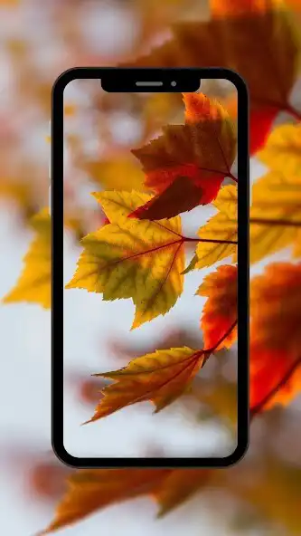 Play Season Aesthetic Wallpaper as an online game Season Aesthetic Wallpaper with UptoPlay