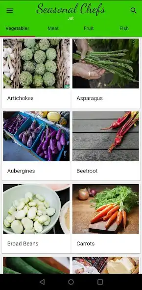 Play Seasonal Chefs  and enjoy Seasonal Chefs with UptoPlay