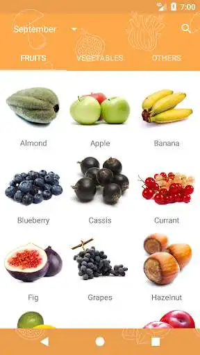 Play Seasonal fruits and vegetables as an online game Seasonal fruits and vegetables with UptoPlay