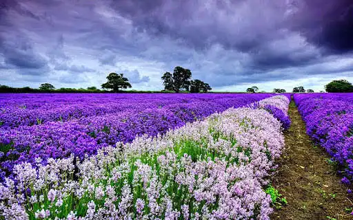 Play Seasons Puzzle Play Seasons Puzzle