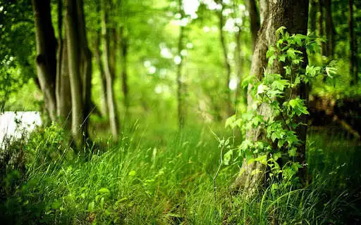 Play Seasons Puzzle Play Seasons Puzzle