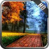 Free play online Seasons Wallpaper APK