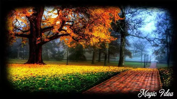 Play Seasons Wallpaper