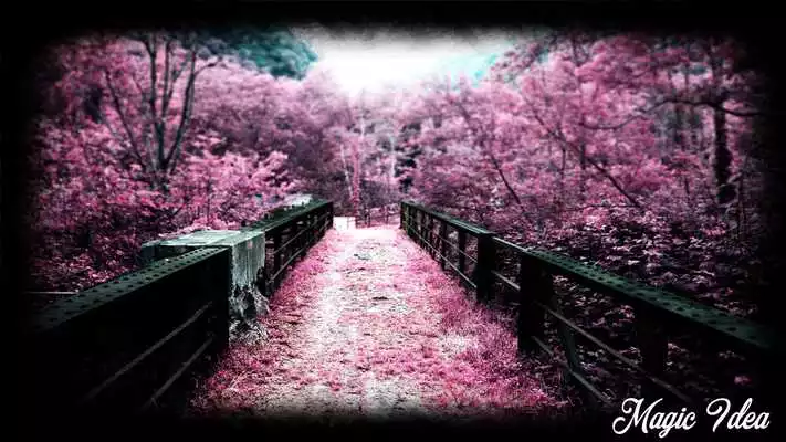 Play Seasons Wallpaper