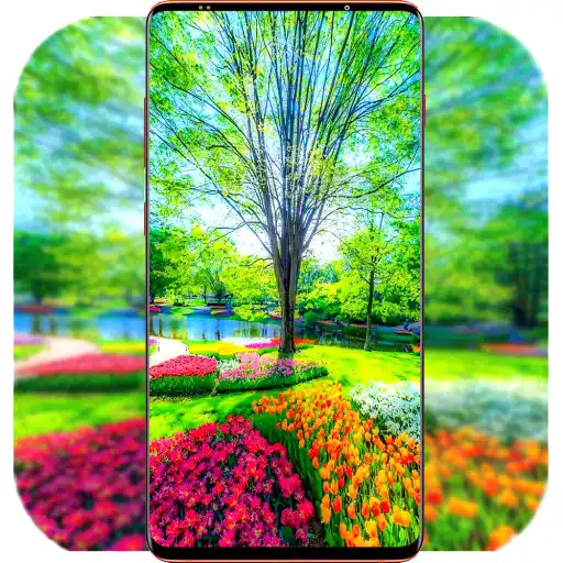 Play Season Wallpaper 4K APK Play Season Wallpaper 4K APK