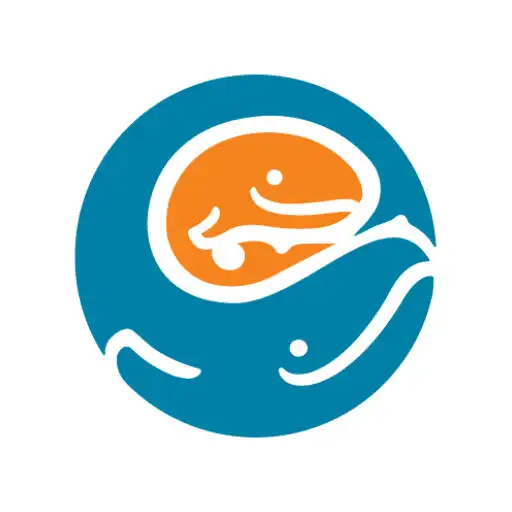 Play Seattle Childrens APK Play Seattle Childrens APK