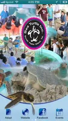Play Sea Turtle, Inc.