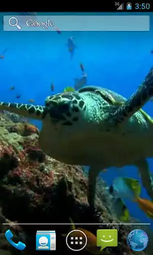 Play Sea Turtle Live Wallpaper