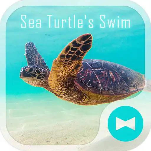 Free play online Sea Turtles Swim +HOME Theme APK Free play online Sea Turtles Swim +HOME Theme APK