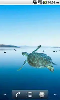 Play Seaturtle Sticker