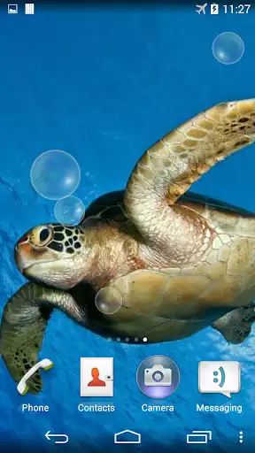 Play Sea Turtle Underwater  and enjoy Sea Turtle Underwater with UptoPlay