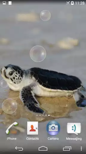 Play Sea Turtle Underwater as an online game Sea Turtle Underwater with UptoPlay