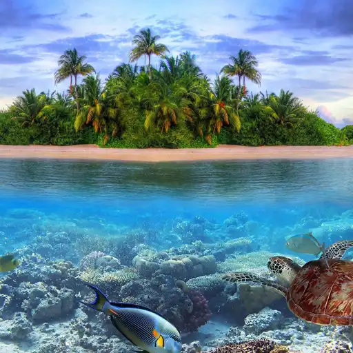 Play Sea Wallpapers HD APK