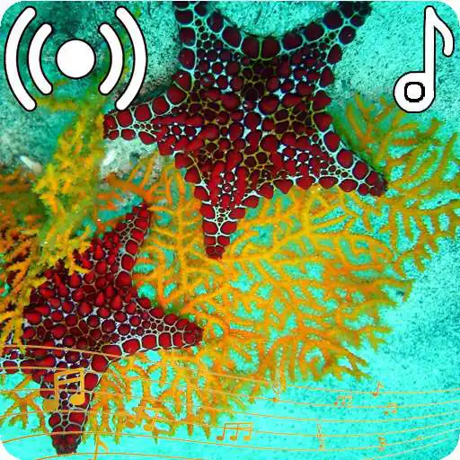 Play Sea Waves Sounds Ringtone APK