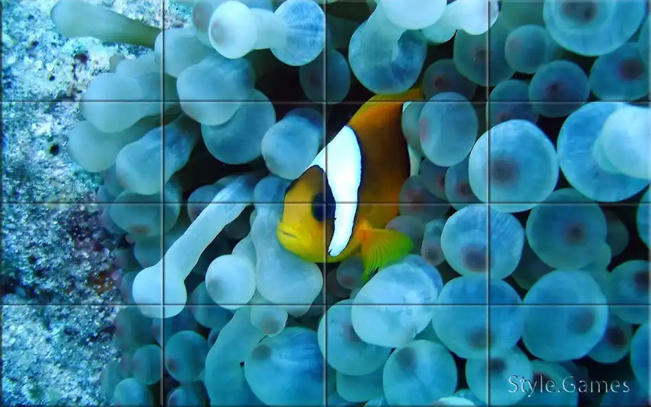 Play Sea world Puzzle  and enjoy Sea world Puzzle with UptoPlay