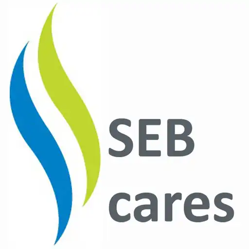 Play SEB cares APK