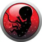 Free play online Second Pregnancy Trimester APK Free play online Second Pregnancy Trimester APK