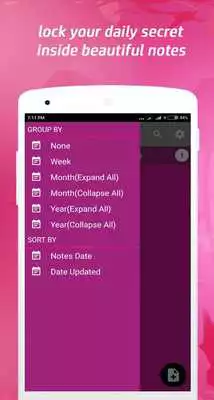 Play Secret Diary 2019