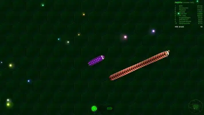 Play Secret Skin for wormax.io