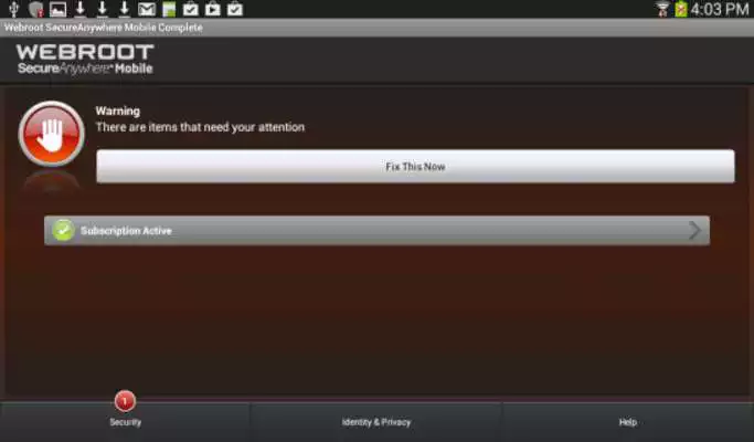Play Security - Complete Play Security - Complete
